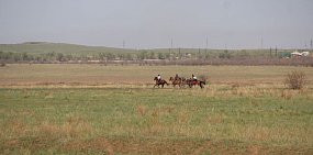 Жителей Орска до места скачек довозил муниципальный автобус, а не маршрут №24