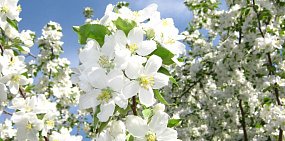 Какая погода ждет жителей Оренбурга и Орска на выходных