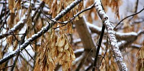 В Оренбургской области на новой неделе пойдет снег