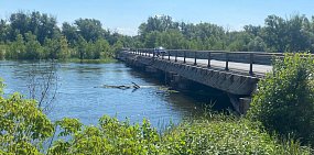 Река Урал в Орске перешла из категории «грязная» в категорию «очень грязная»