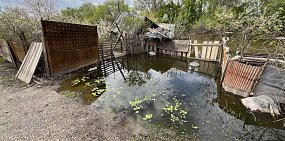 Смогут ли переехавшие в «Звездный» после паводка жители Орска пользоваться старыми участками наступающим летом? Комментарий администрации города