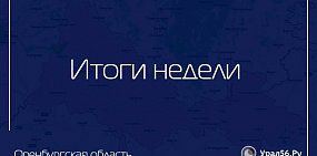 Какие новости заинтересовали оренбуржцев больше всего?