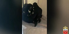 Во время задержания. Стоп-кадр из видео МВД