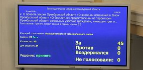 Многодетным в Оренбургской области предлагают деньги вместо земли. Выгодно ли это?