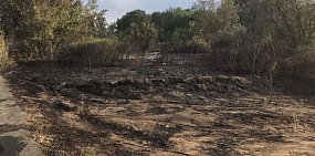 В Орске ввели режим ЧС из-за пожара в районе детского лагеря «Лесная сказка-2»
