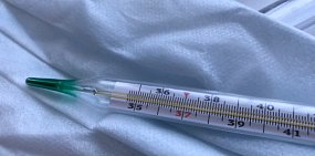 Информацией поделились в Роспотребнадзоре