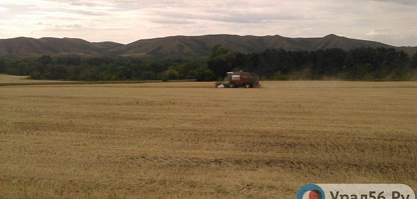 Многодетным семьям предлагают землю за десятки километров от Оренбурга