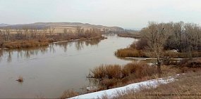  Река Урал у границы участка «Айтуарская степь» Оренбургского заповедника. Фото Алексея Каширского