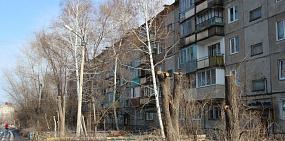 В Орске массово проводят опиловку деревьев на придомовых территориях