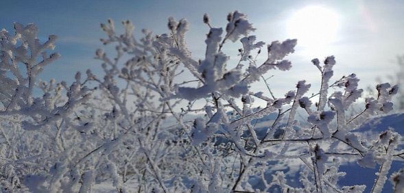 Мягкий циклон к концу рабочей недели в Оренбургской области сменится арктическими морозами