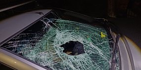 После ДТП. Фото: УМВД по Оренбургской области 