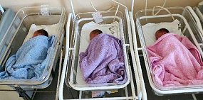 Новорожденные в Оренбургском областном перинатальном центре. Фото: Минздрав Оренбуржья