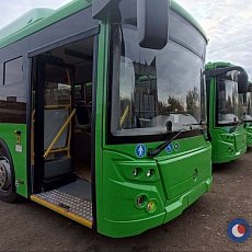 Пассажирские автобусы в Оренбурге