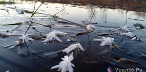 На этой неделе особых осадков в Оренбургской области не ожидается, но по ночам будет морозно