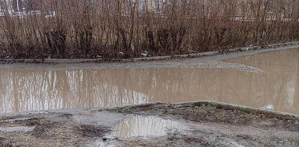 Лужа на пути в поликлинику. Фото прислали местные жители 