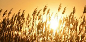 Какая погода ждет жителей Оренбурга и Орска в конце недели?