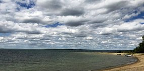 В Ириклинском «море» умирает рыба: как обстоят дела в нижней части водохранилища?