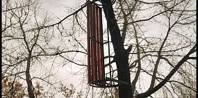 В парке Саракташа на деревьях повисли... лавочки. Авторами инсталляции оказались подростки