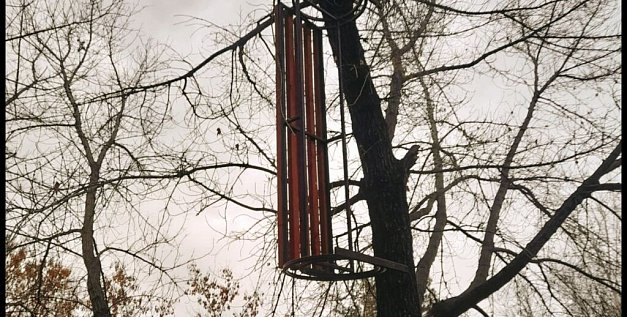 В парке Саракташа на деревьях повисли... лавочки. Авторами инсталляции оказались подростки