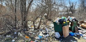 «Мусорный» лес: как выглядит территория около мусорных баков в районе храма на Никеле