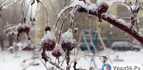 Дождь, мокрый снег и гололедицы: Какая погода будет в Оренбургской области в ближайшие дни