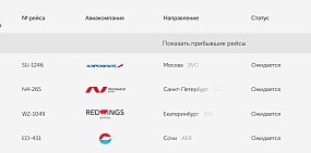Самолет Москва – Оренбург – Москва перенесли на несколько часов из-за угрозы атаки БПЛА