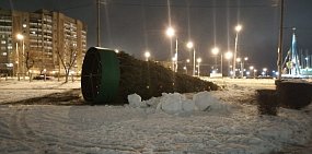Сильный ветер уронил елку в Оренбурге