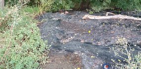 В центре Орска в Елшанку ручьем текут сточные воды