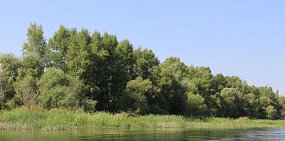 На водоемах Оренбургской области вводятся ограничения на рыбалку и добычу раков