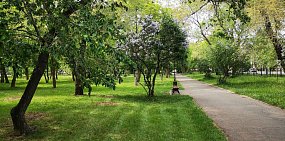 Какие территории Оренбургской области лидируют в голосовании за благоустройство? 