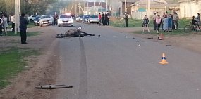 В Оренбурге автомобиль сбил лошадь, на которой верхом ехал ребенок. 14-летний мальчик скончался на месте 