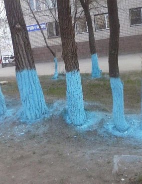 Блогер Илья Варламов опубликовал фото одного орского двора