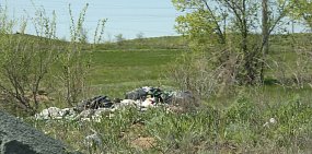 В Оренбургской области нужно установить дополнительно 11 тысяч металлических контейнеров под мусор