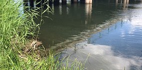 Экологическая катастрофа на Ирикле: Жители Орска переживают за рыбу в Урале