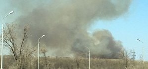 В Оренбурге в Зауральной роще горела сухая трава