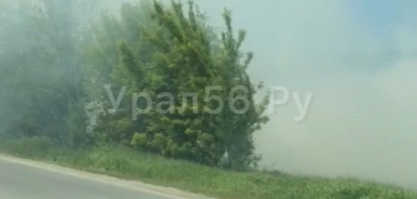 В Орске горит лесополоса рядом с парком Строителей
