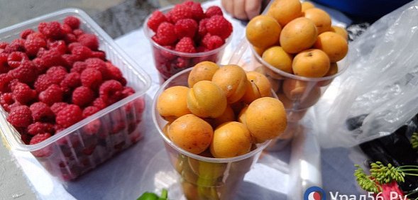 Следственный комитет возбуждает уголовные дела по факту незаконной торговли, которую ведут мигранты в Оренбурге, но прокуратура их отменяет?