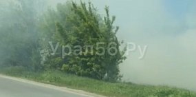 В Орске горит лесополоса рядом с парком Строителей