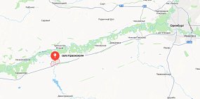 В селе Краснохолм Оренбурга ввели карантин по бешенству