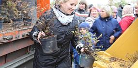 Металлоинвест приглашает новотройчан принять участие в озеленении городского парка