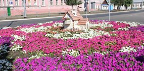 От петуний до роз: почти 5,4 млн рублей потратят в этом году на цветники Оренбурга