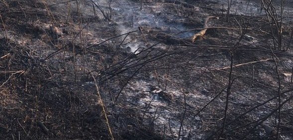 Серьезный пожар в Новоорском районе: угрозы населенным пунктам нет