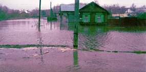 Жители Бузулука на протяжении нескольких лет добиваются строительства дамбы