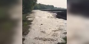 Из-за прорыва дамбы очистных сооружений под Оренбургом затопило сельхозугодия и лес. Комментарий ООО «Оренбург Водоканал»