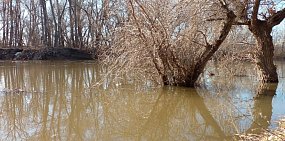 За 4 дня уровень Урала в Оренбурге и Орске поднялся в среднем на 1 метр 