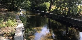 Дело о загрязнение реки Елшанки в Орске передано в суд