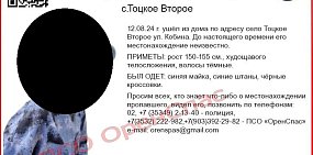 Информация о ребенке. Источник: «ОренСпас»