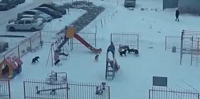 «Хорошо, что на моем месте был не ребенок!» Собака покусала орчанку на территории детсада