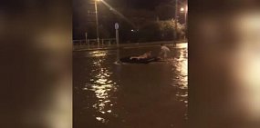 Стопкадр из видео 