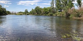 Река Урал в районе Орска, июнь 2020 года